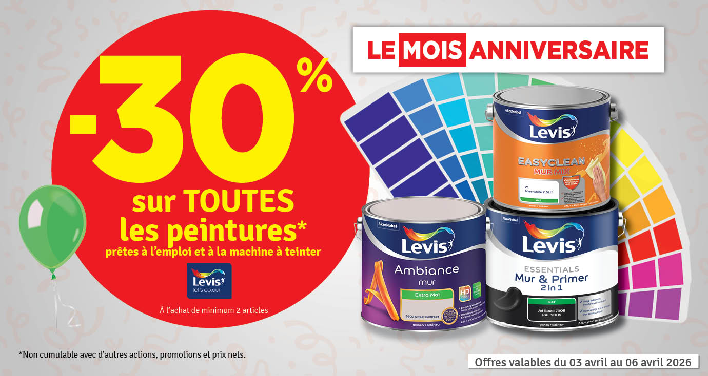 30 % sur les peintures LEVIS